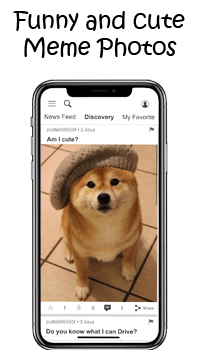 About Memie, Meme sharing application